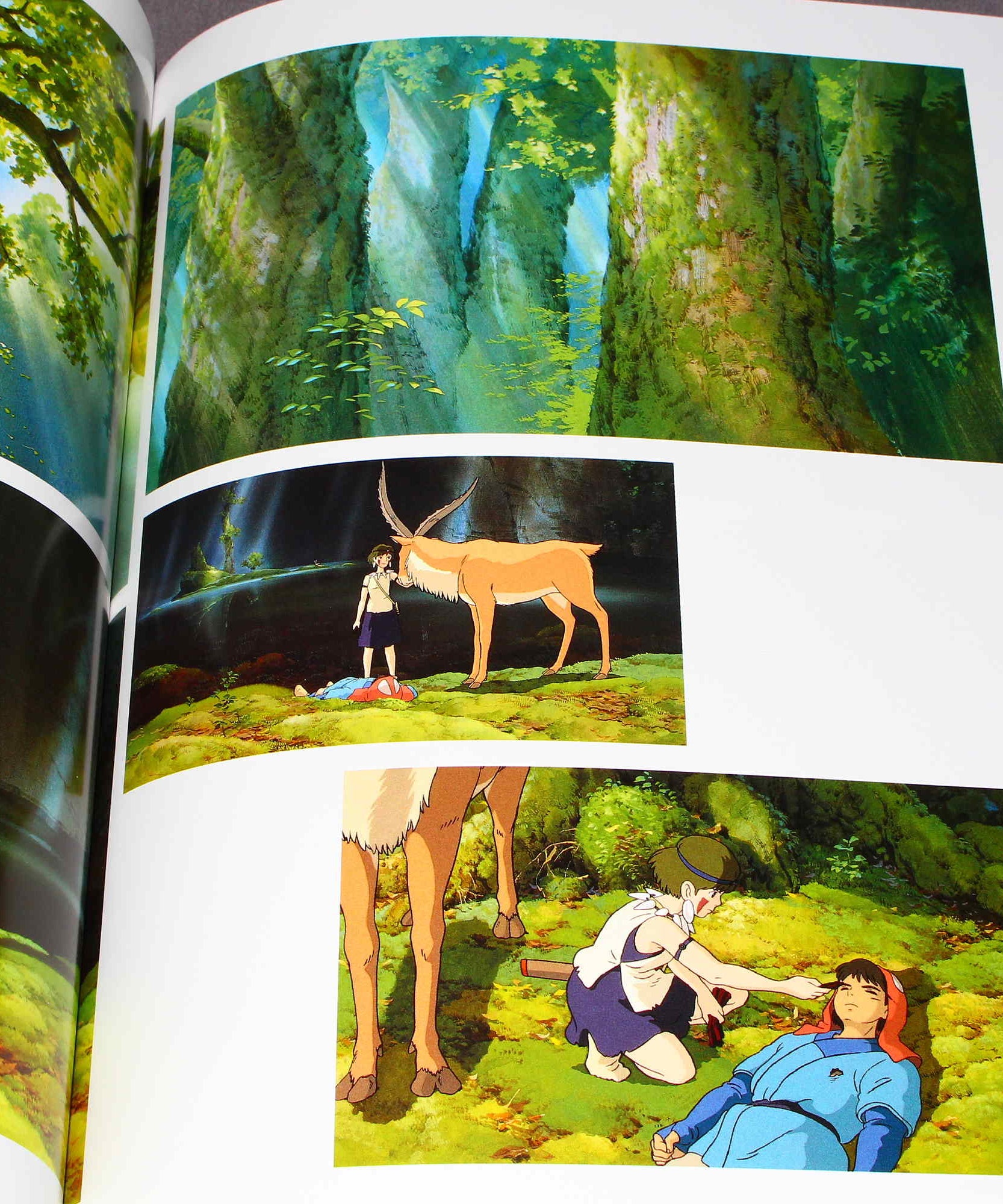 The Art of The Princess Mononoke