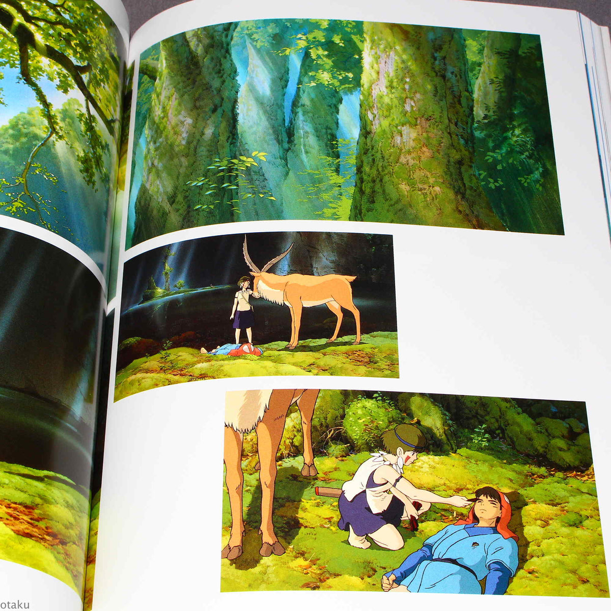 The Art of The Princess Mononoke