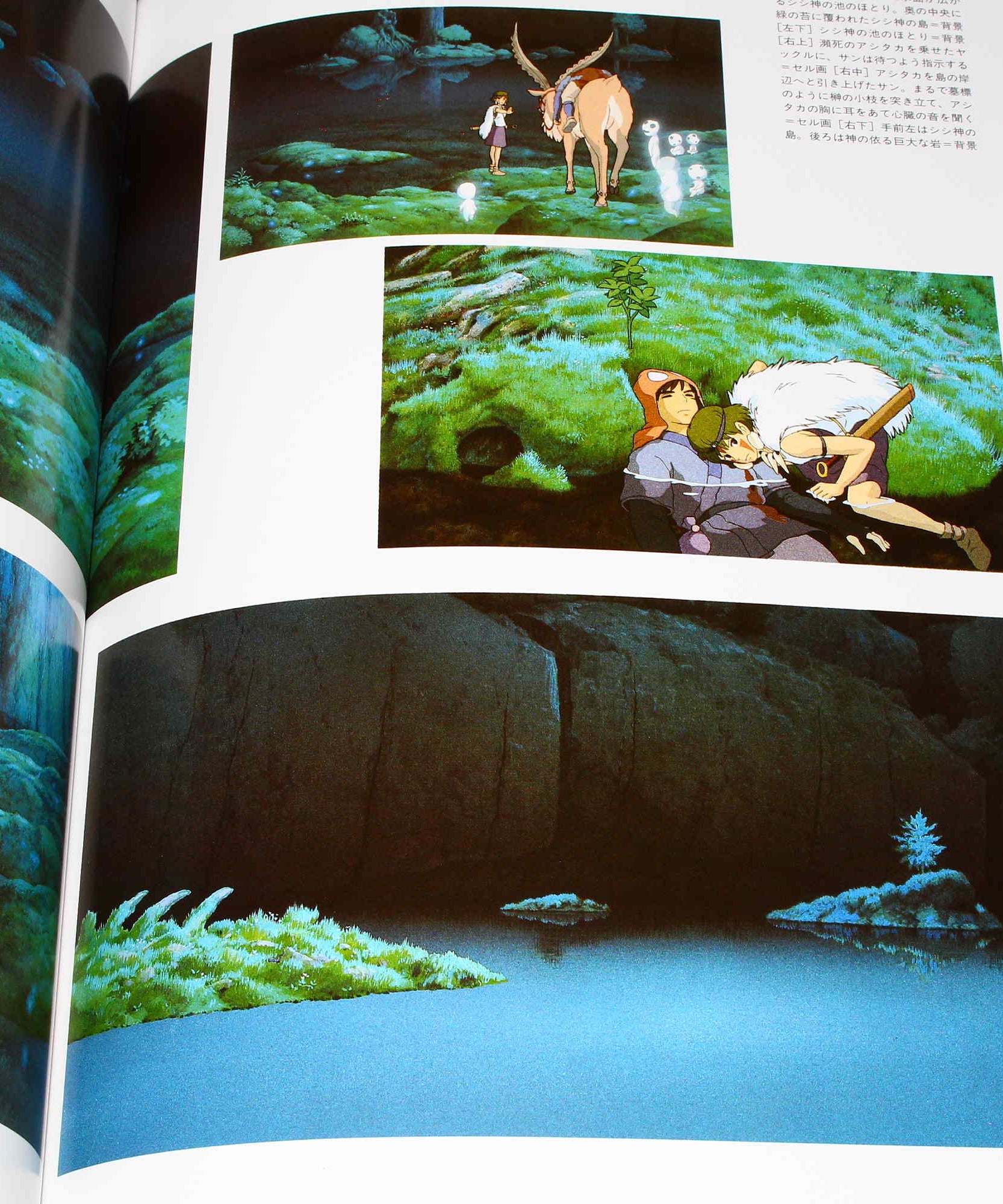The Art of The Princess Mononoke