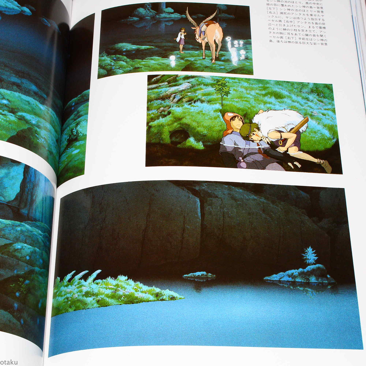 The Art of The Princess Mononoke