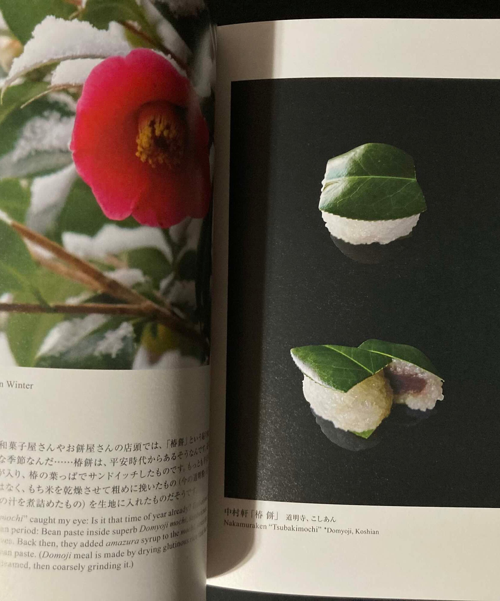 Wagashi - Handy Version - Japanese confectionery