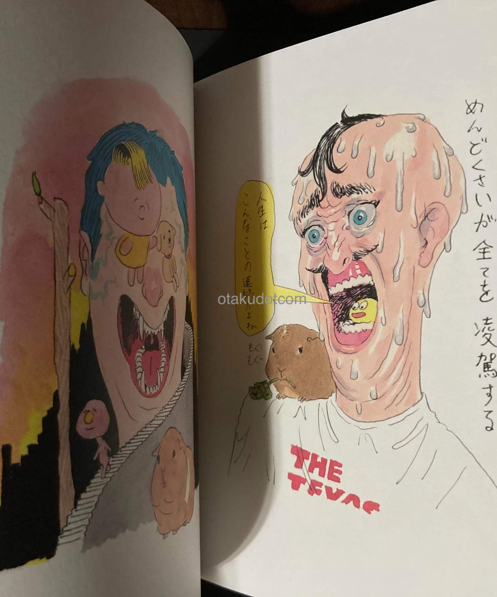 Gakiya Isamu Artbook Simon Simon