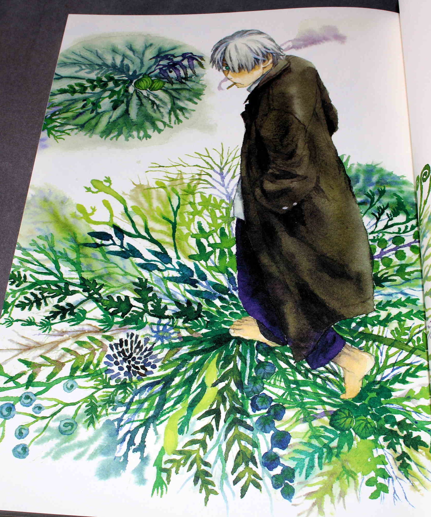 Yuki Urushibara - Mushishi Artworks