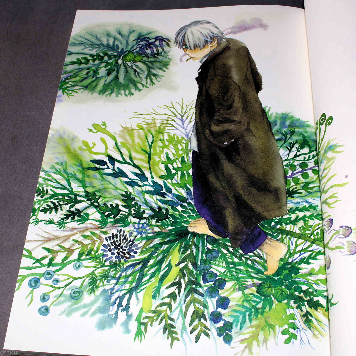 Yuki Urushibara - Mushishi Artworks