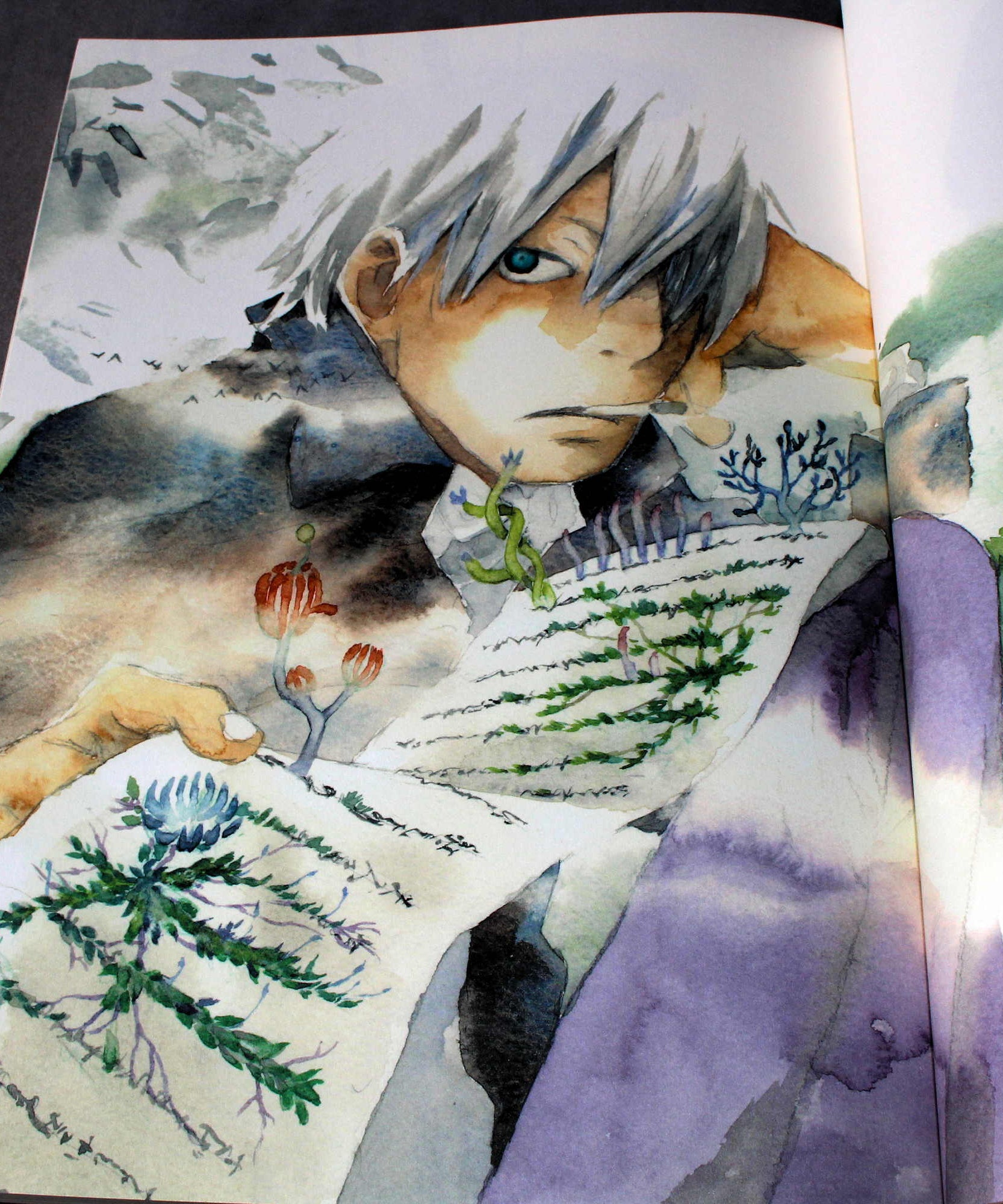 Yuki Urushibara - Mushishi Artworks