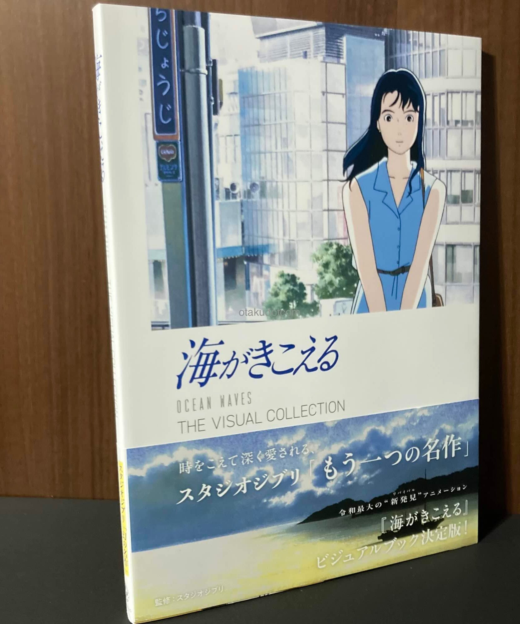 Ocean Waves / Umi ga Kikoeru The Visual Collection