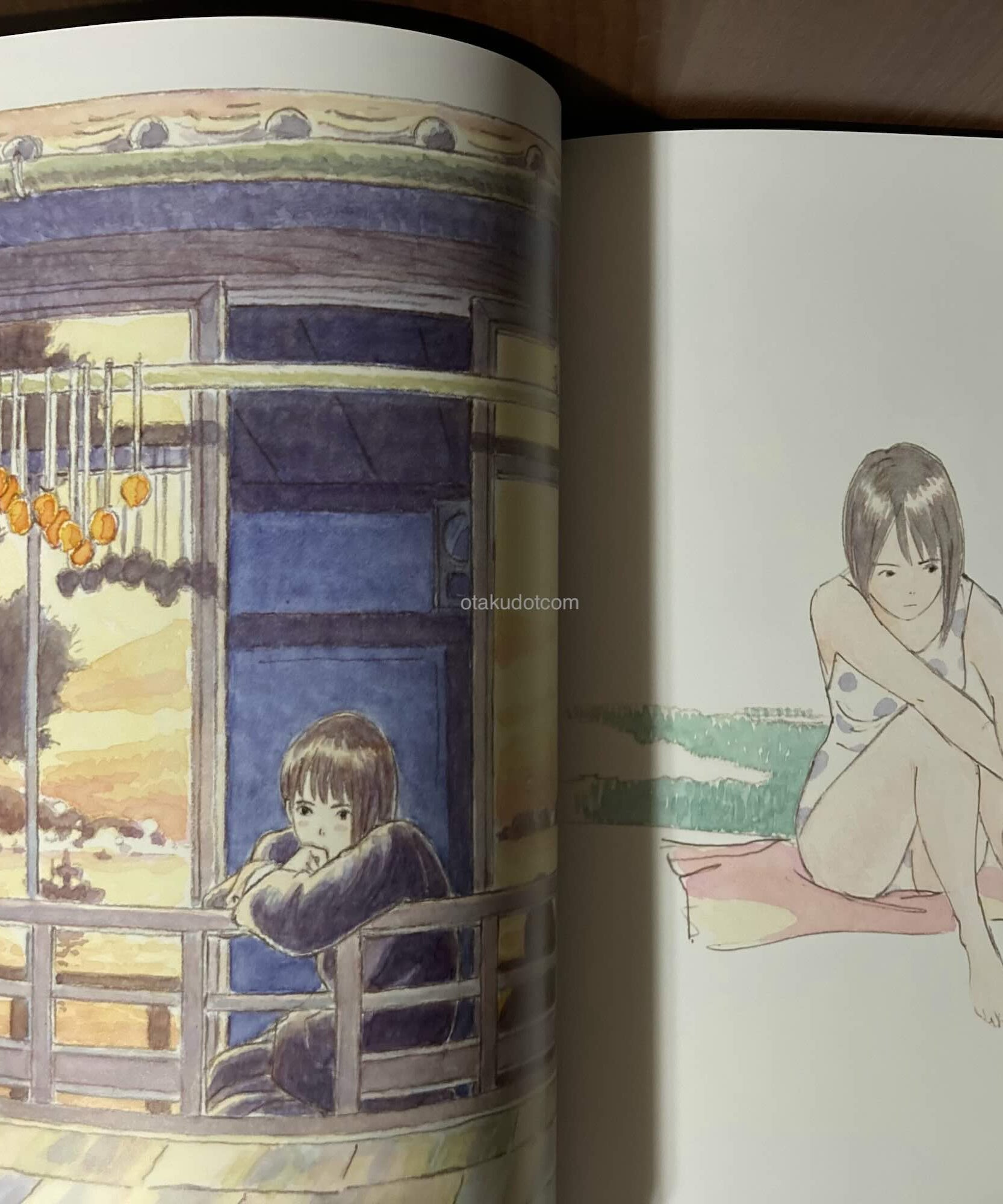 Ocean Waves / Umi ga Kikoeru The Visual Collection
