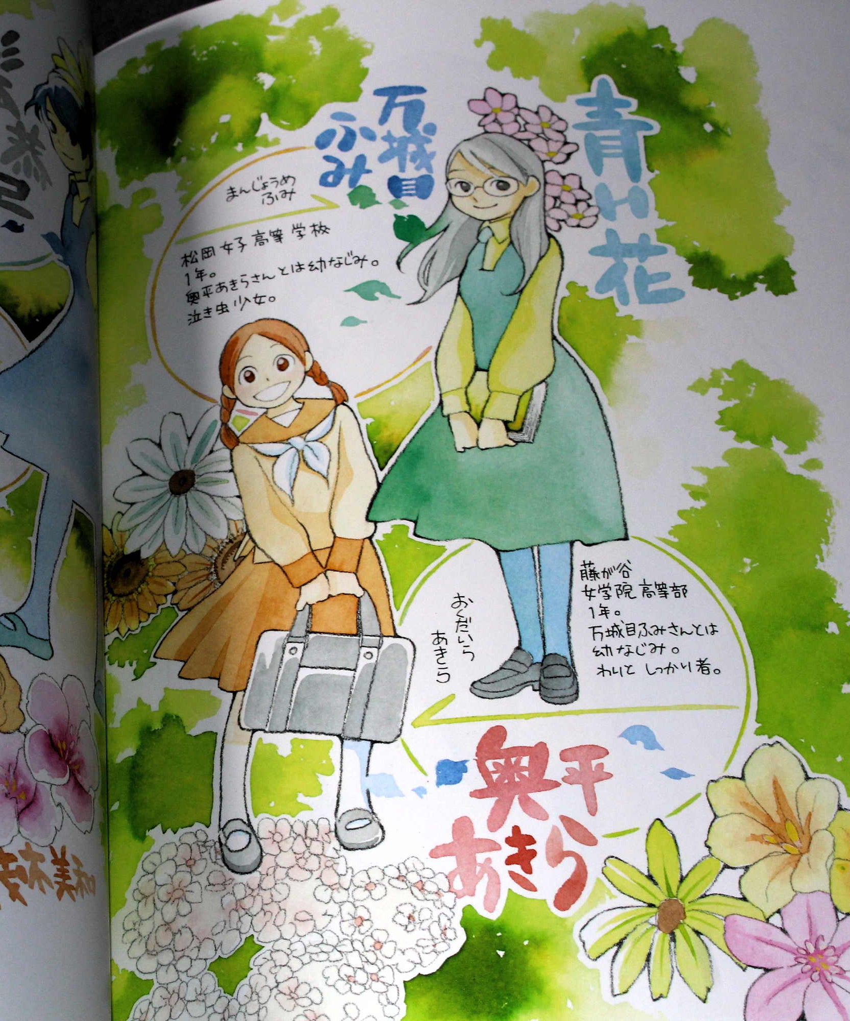 Takako Shimura Illustration Works