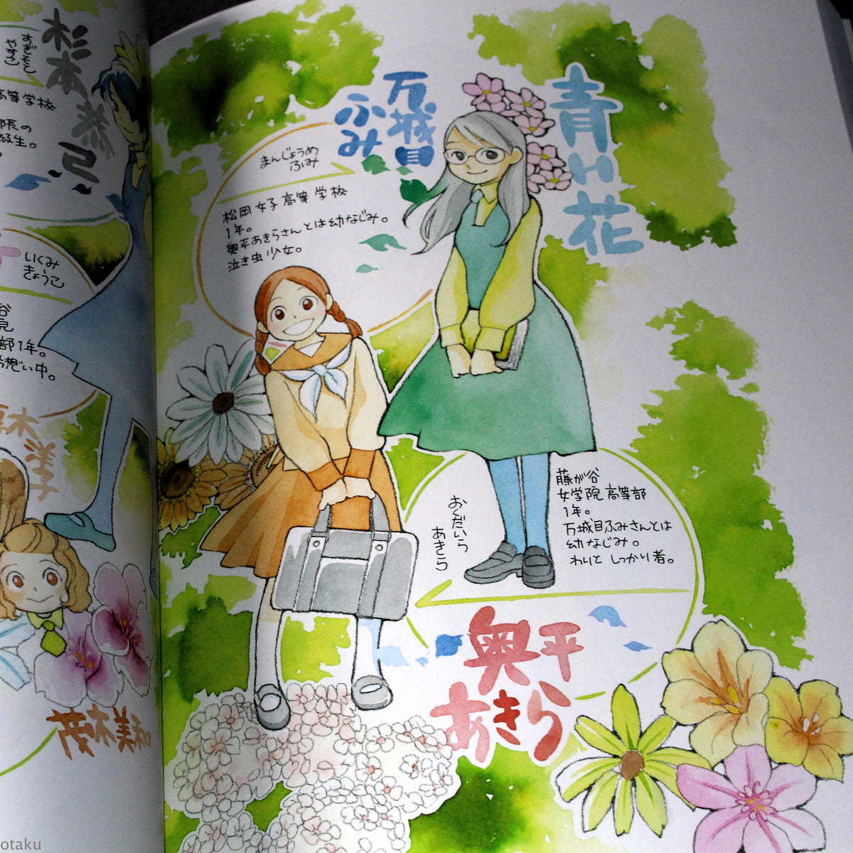 Takako Shimura Illustration Works