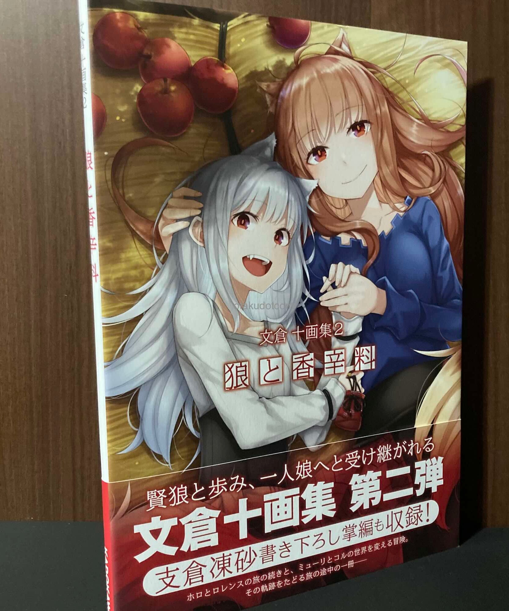 Ju Ayakura Artworks 2: Spice And Wolf
