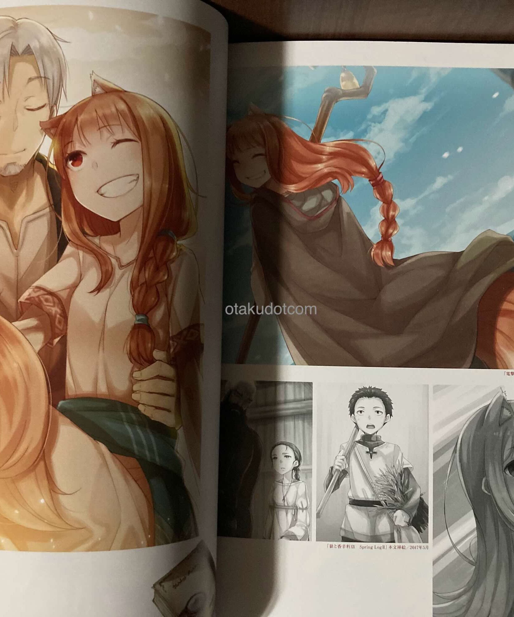 Ju Ayakura Artworks 2: Spice And Wolf