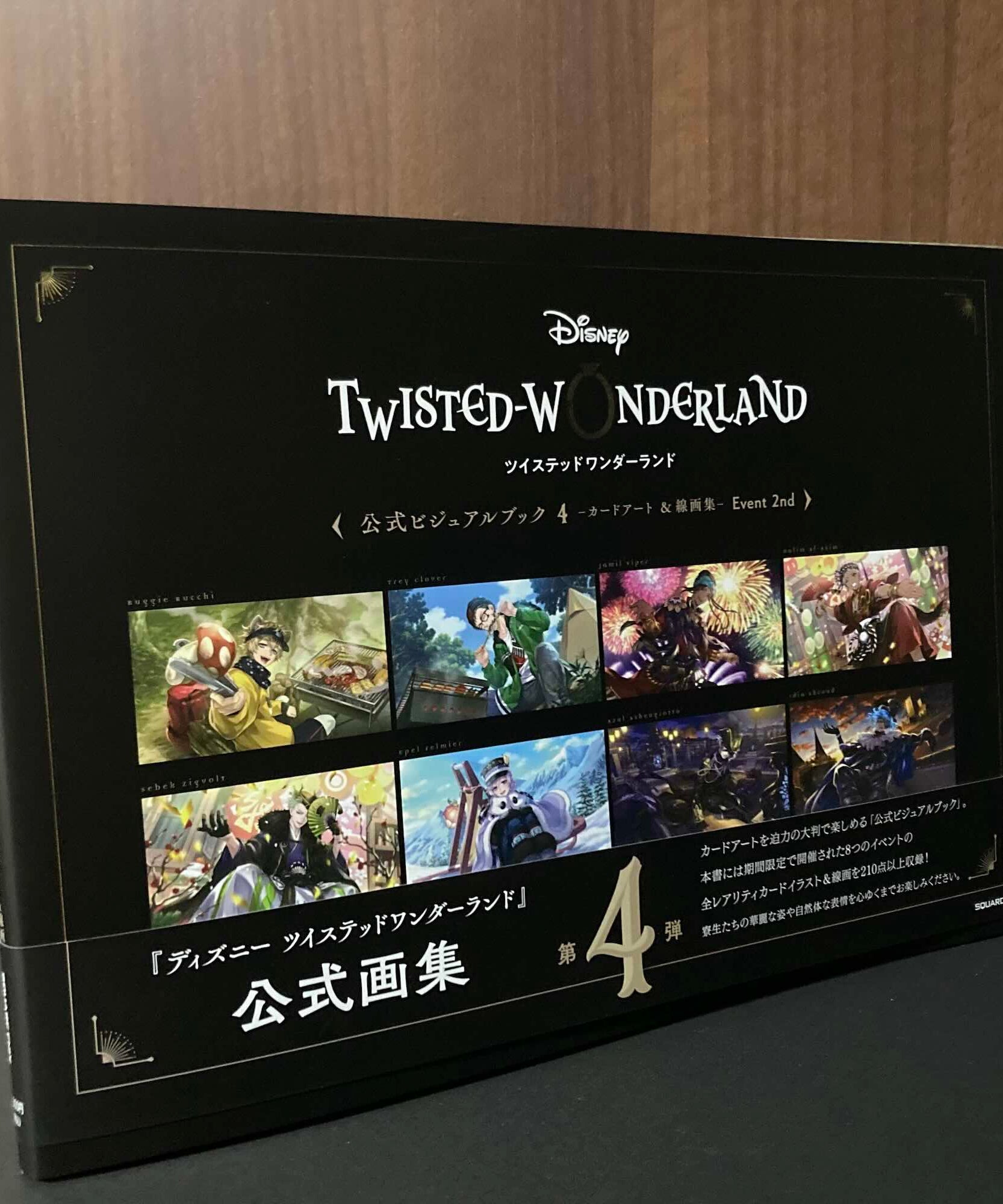 Twisted Wonderland Official Visual Book 4 Card Art + Line Drawing