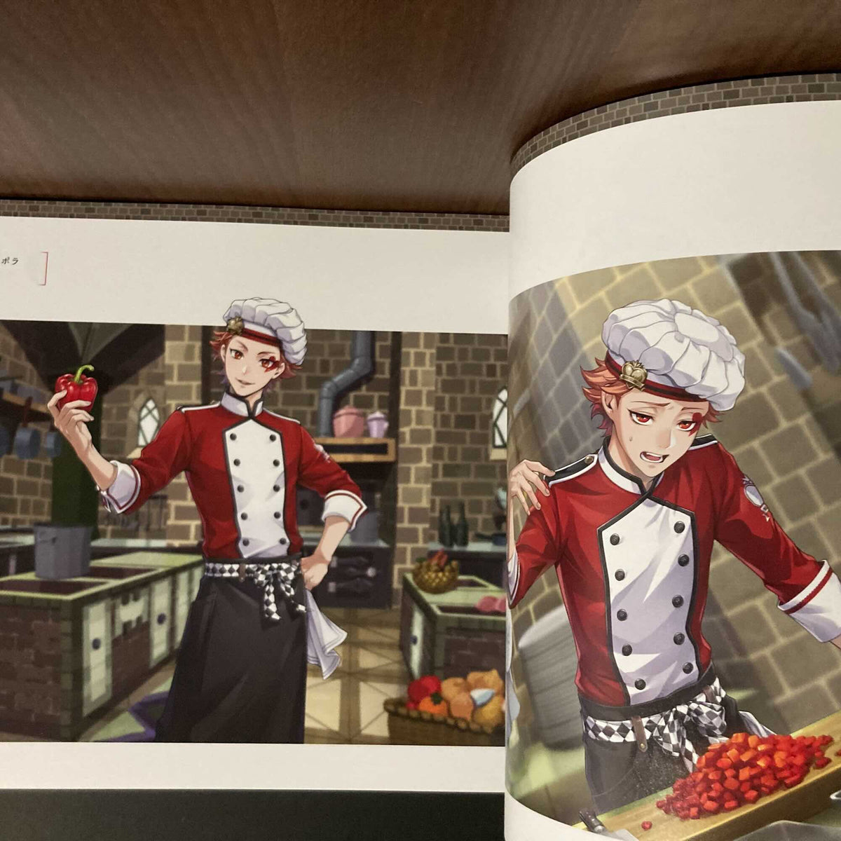 Twisted Wonderland Official Visual Book 4 Card Art + Line Drawing