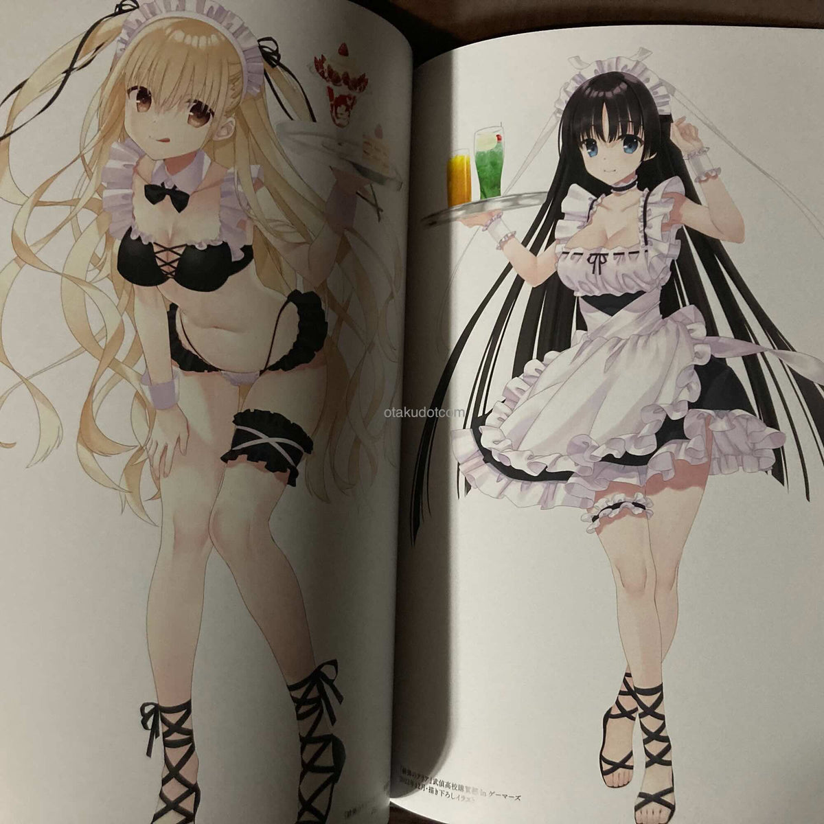 CAMELLIA Aria the Scarlet Ammo Illustrations - Kobuichi Art Works