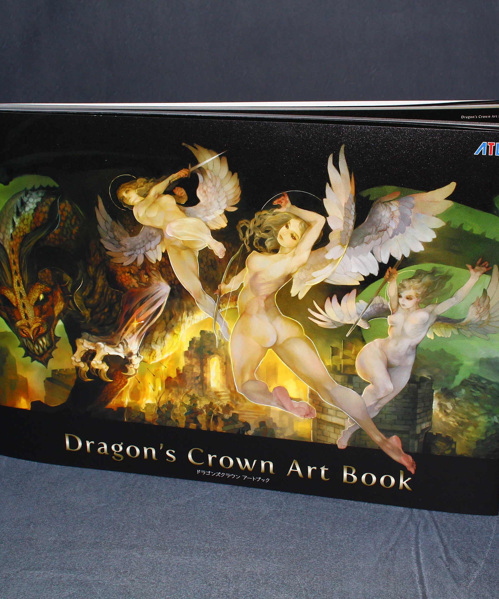 Dragon's Crown Art Book