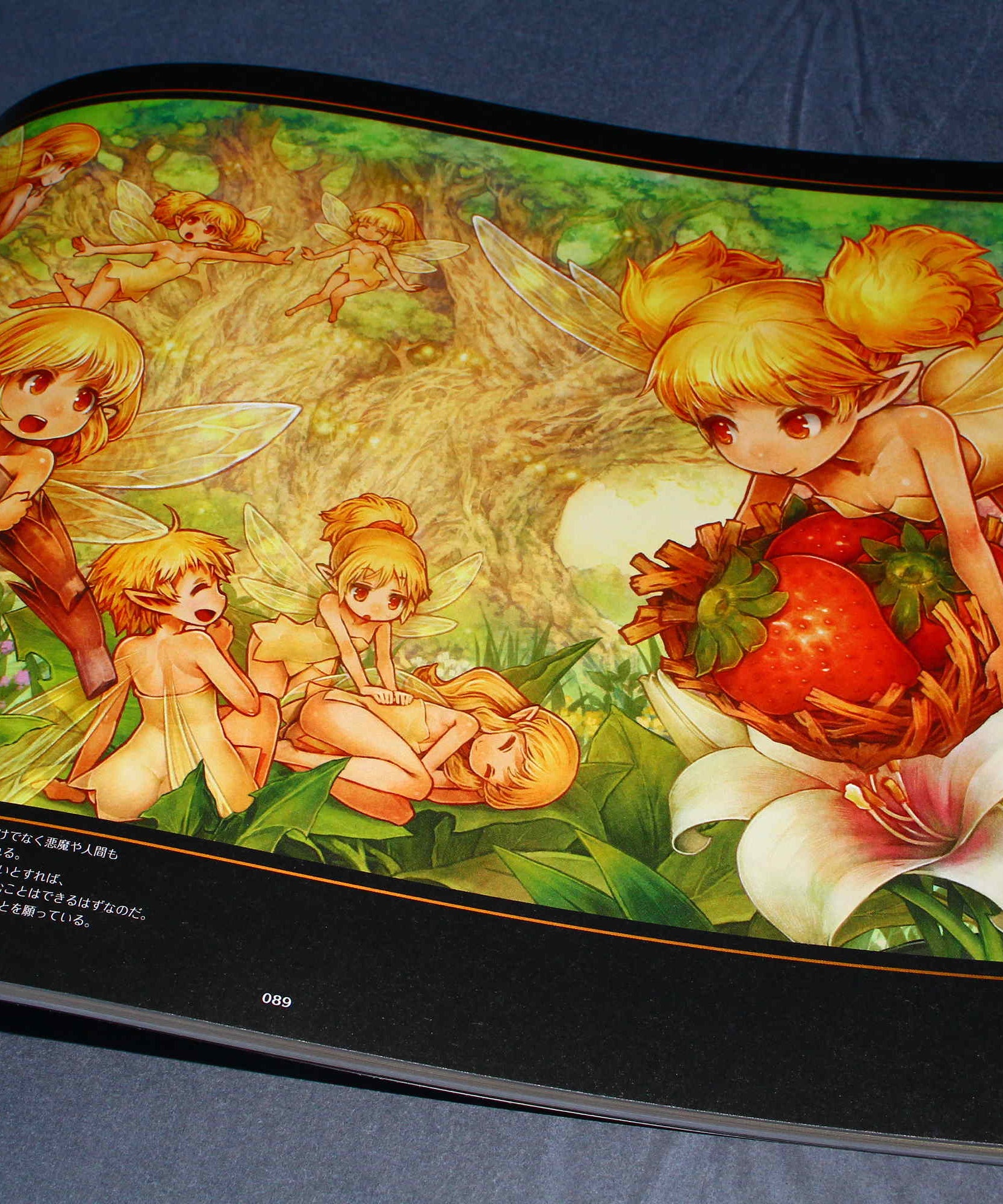 Dragon's Crown Art Book
