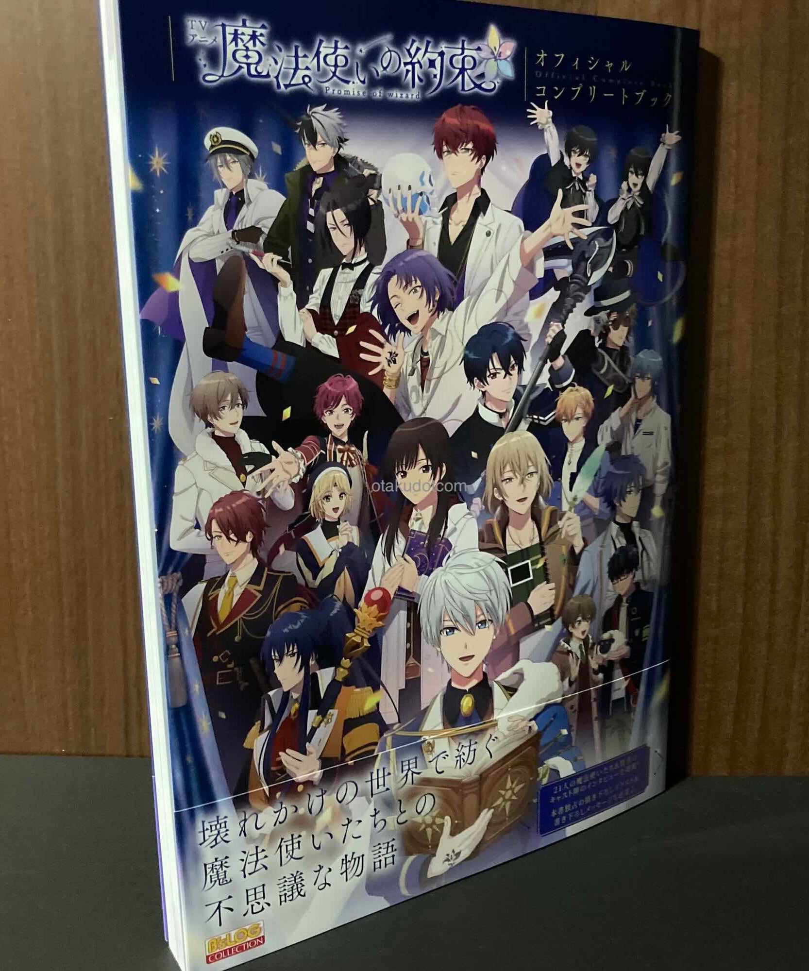 Promise of Wizard TV Anime Official Complete Book