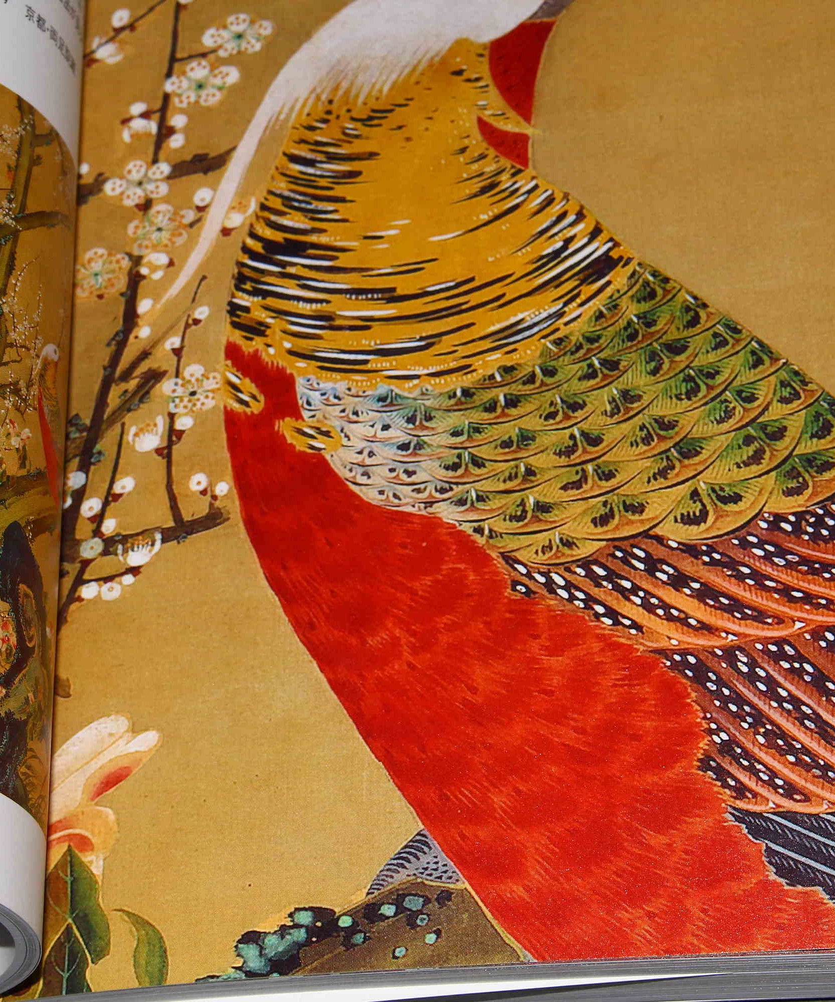 Ito Jakuchu Five Colors - Japan Art Book