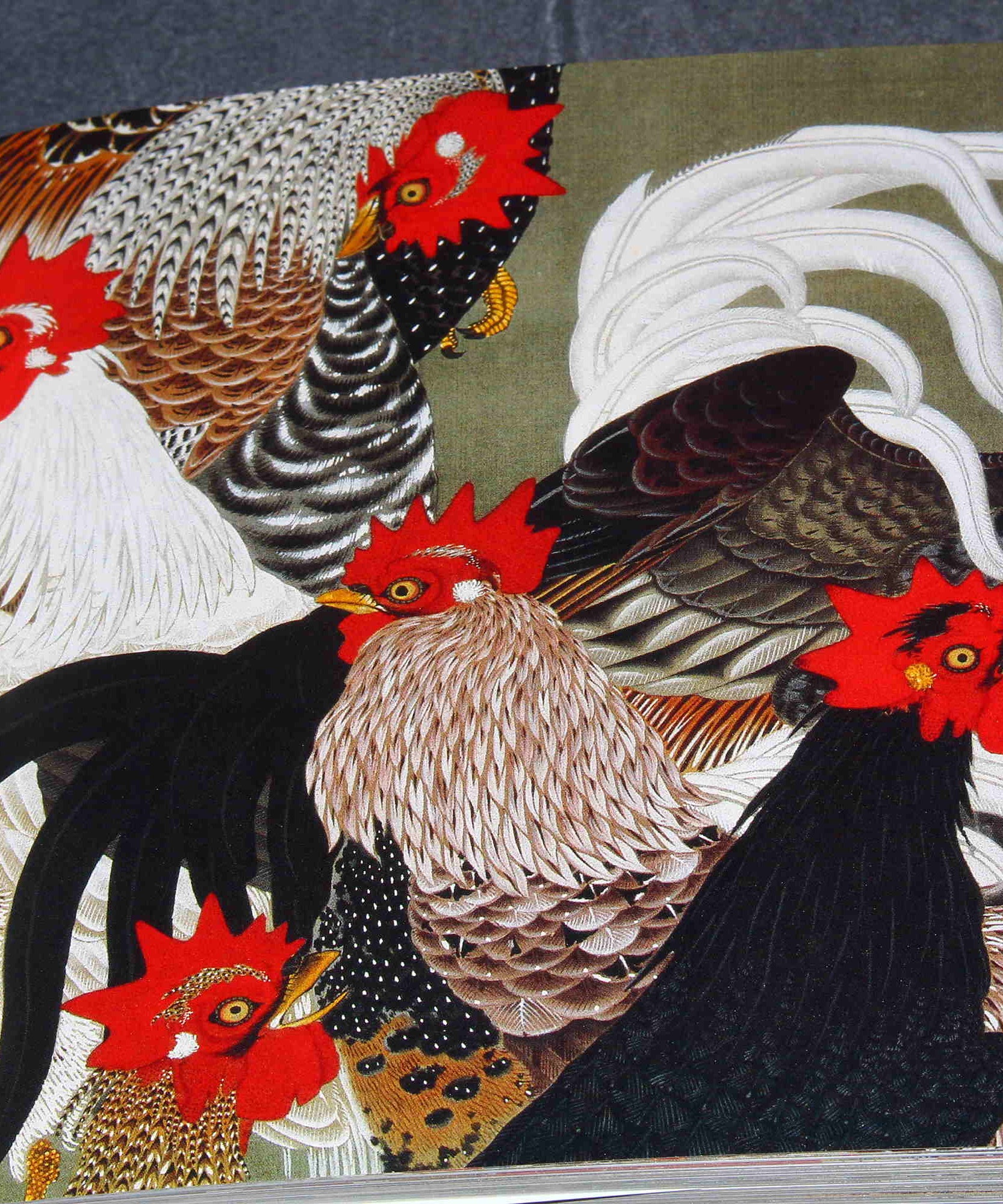 Ito Jakuchu Five Colors - Japan Art Book