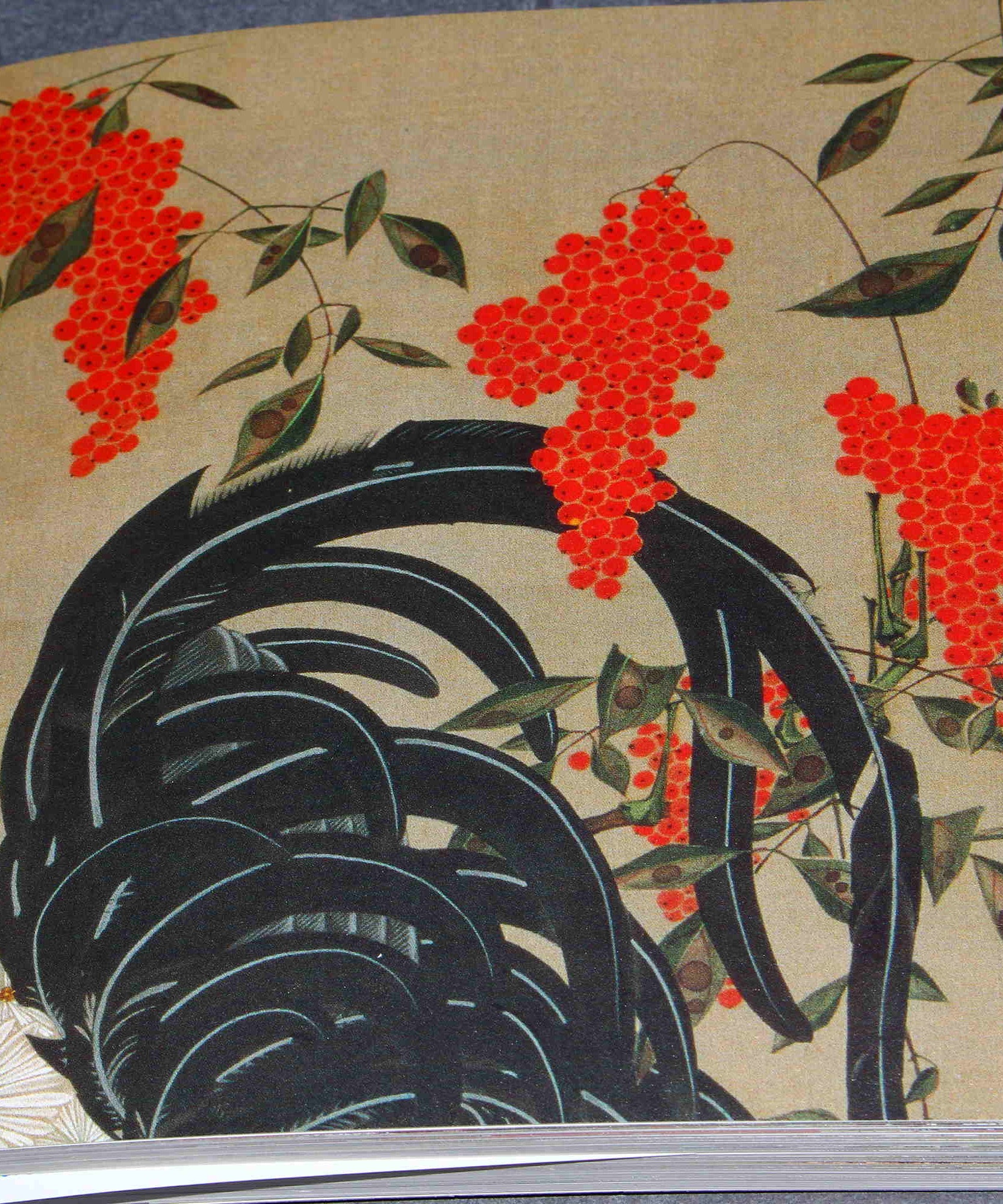 Ito Jakuchu Five Colors - Japan Art Book