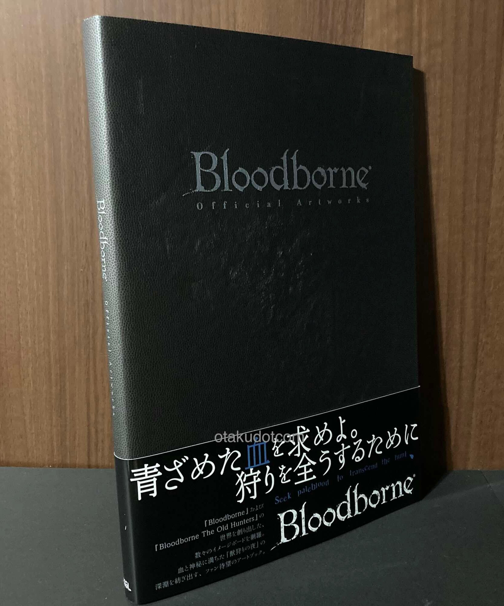 Bloodborne Artworks