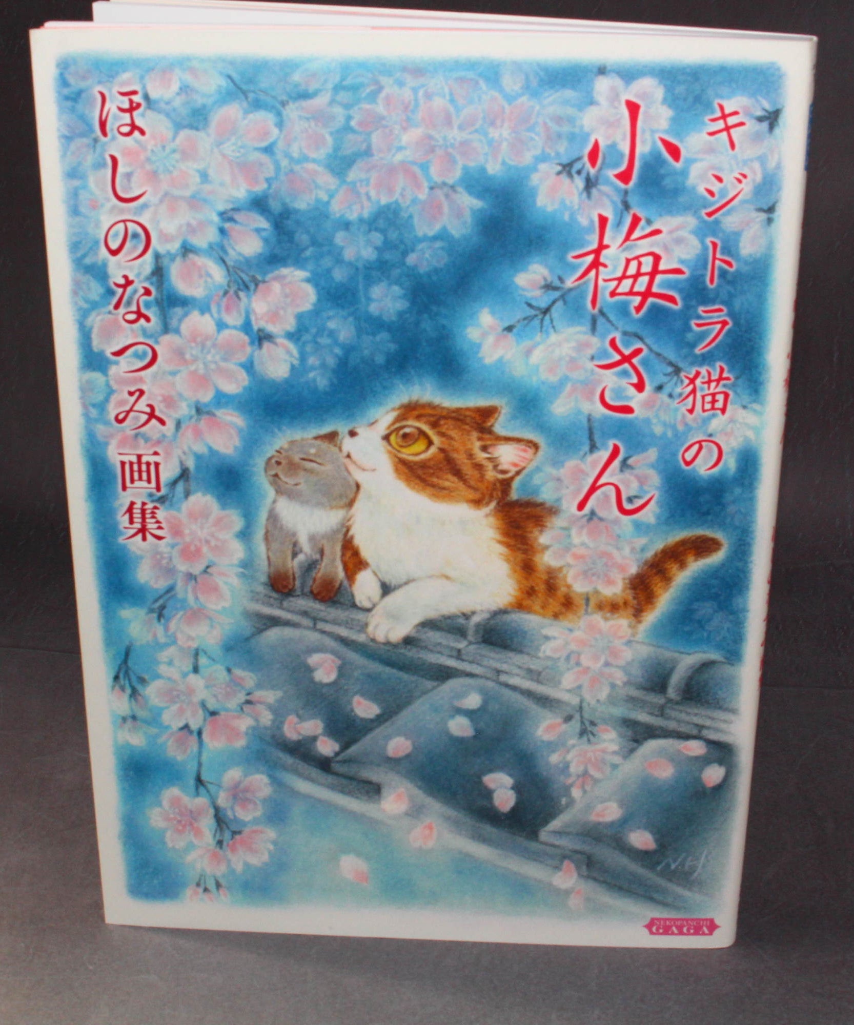 Natsumi Hoshino Artworks: Kijitora Neko no Koume-san