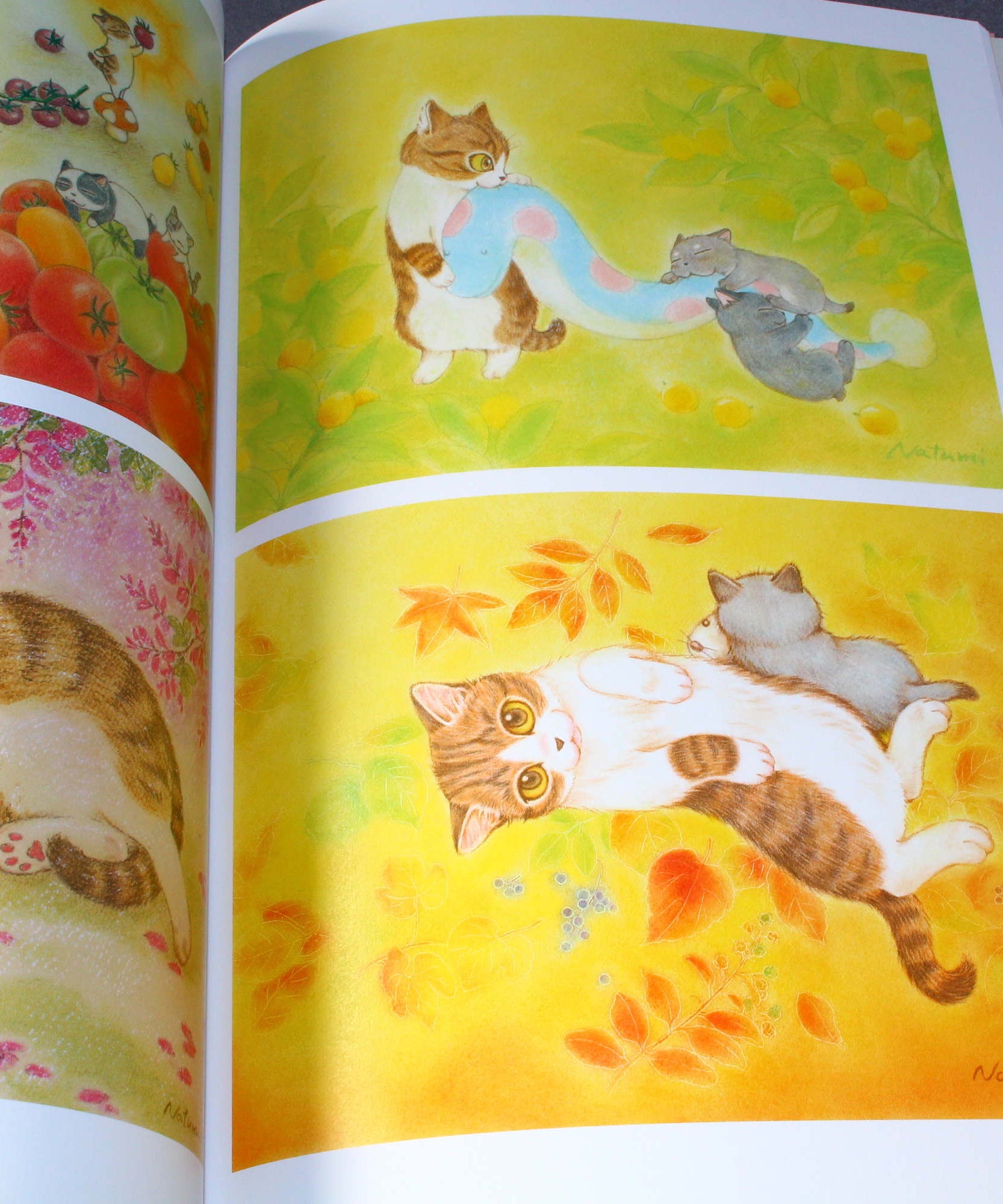 Natsumi Hoshino Artworks: Kijitora Neko no Koume-san