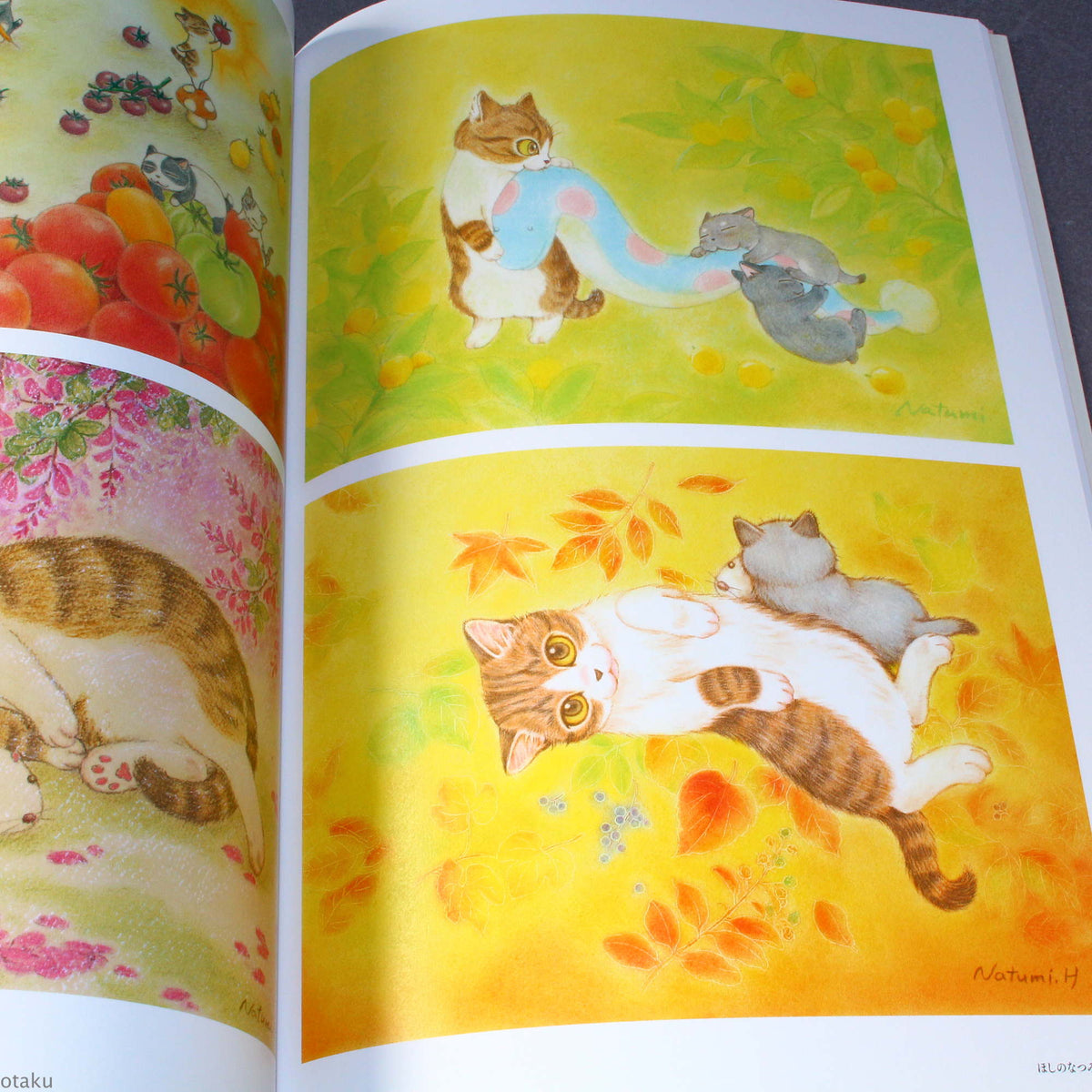 Natsumi Hoshino Artworks: Kijitora Neko no Koume-san