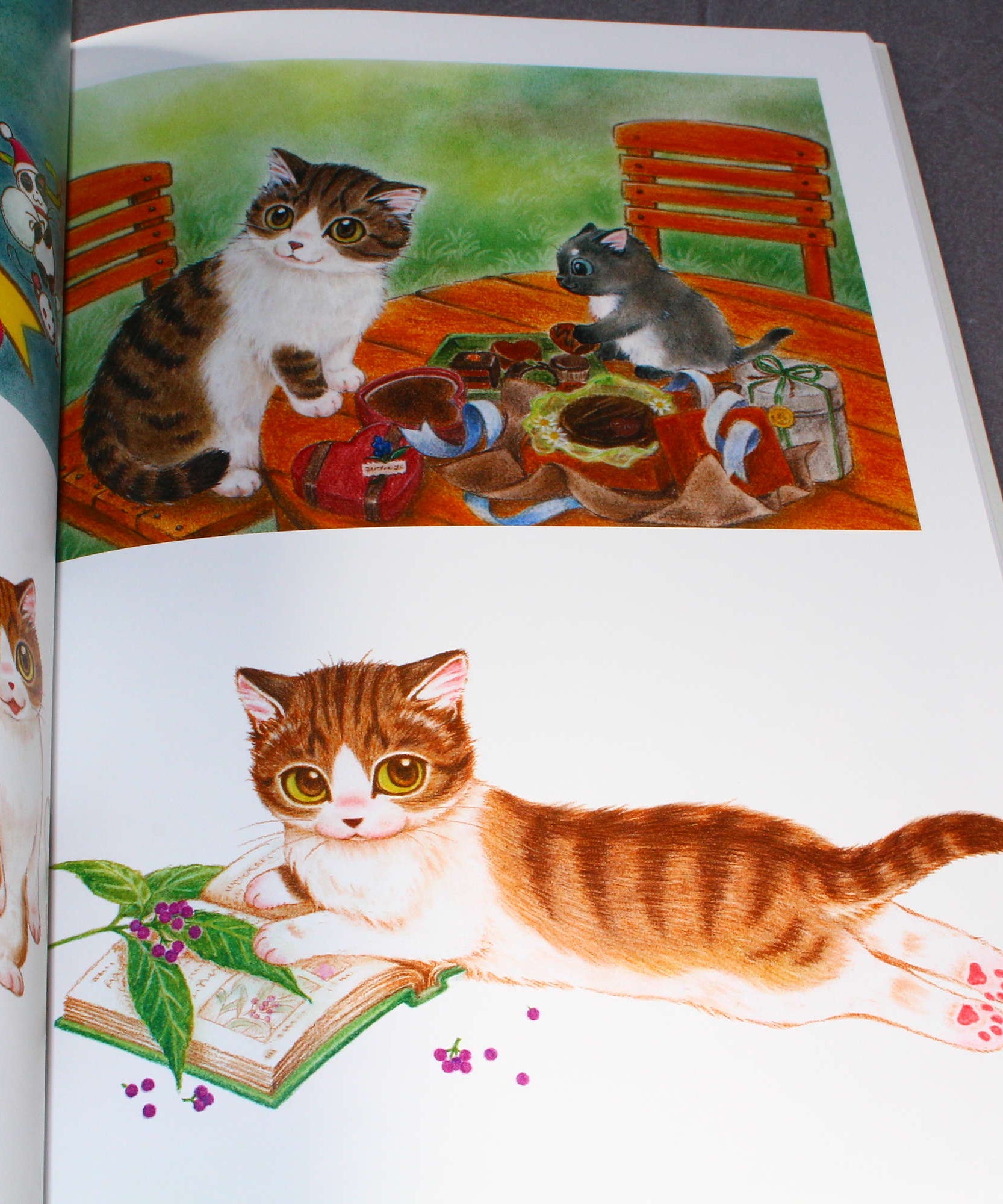 Natsumi Hoshino Artworks: Kijitora Neko no Koume-san