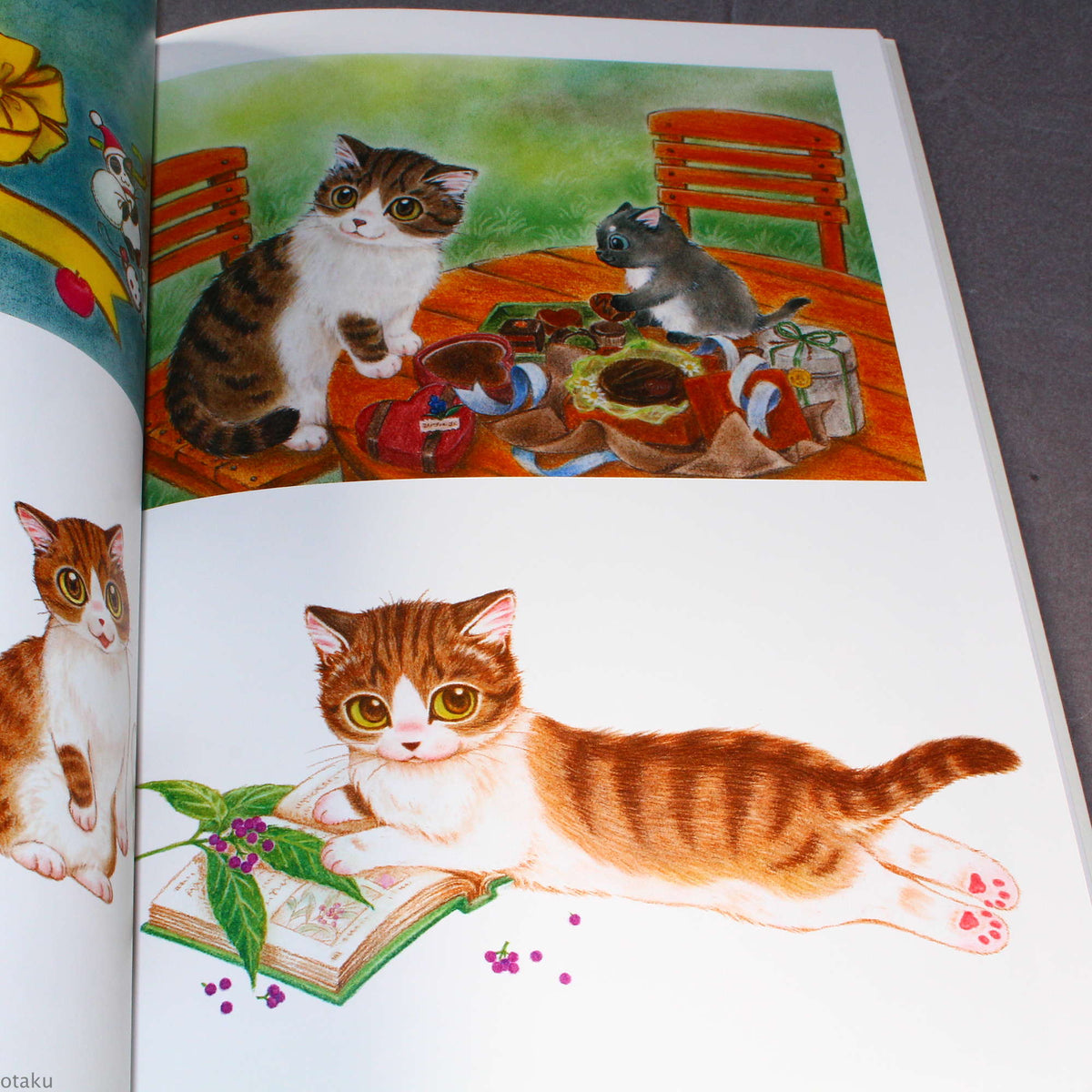 Natsumi Hoshino Artworks: Kijitora Neko no Koume-san