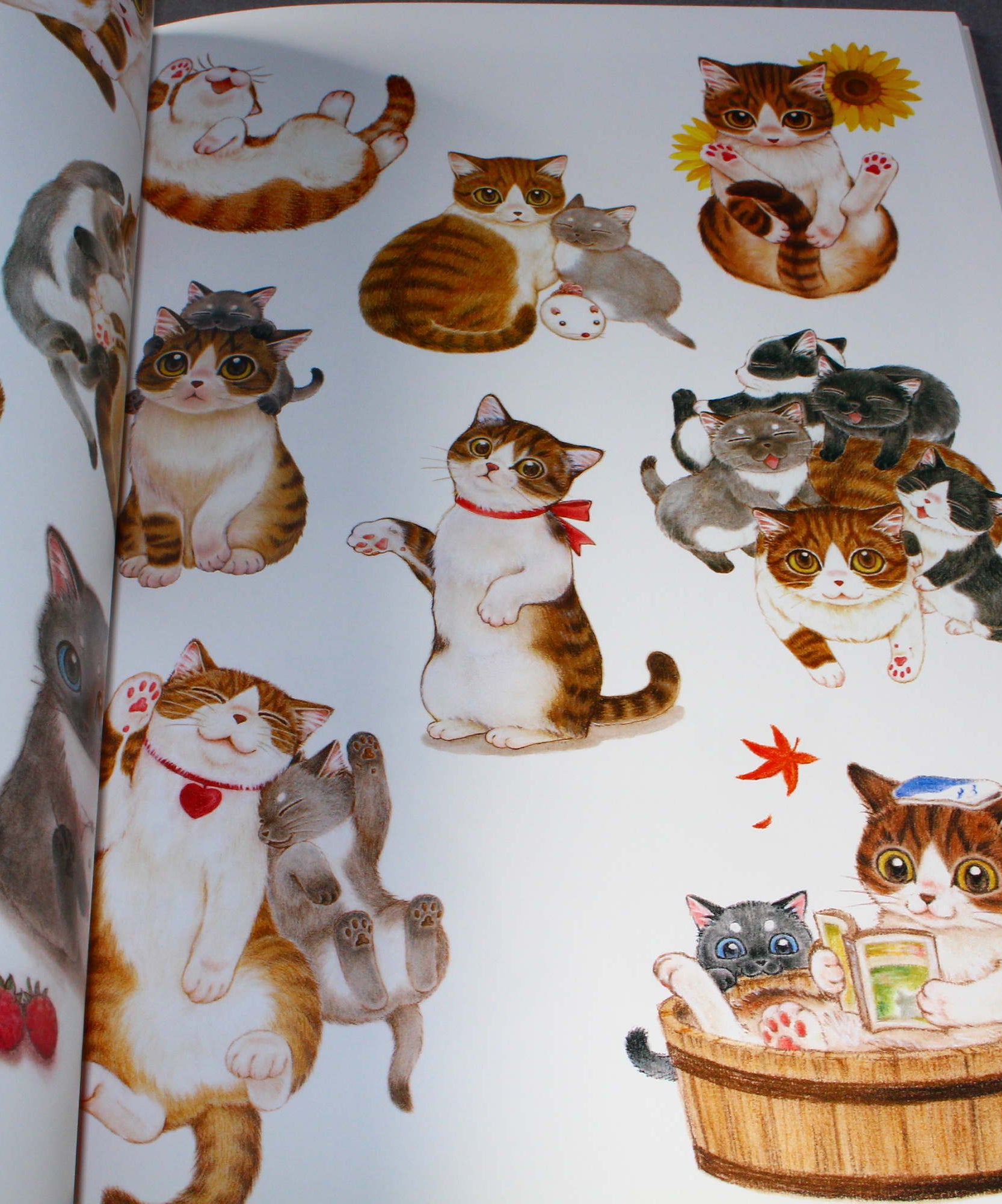 Natsumi Hoshino Artworks: Kijitora Neko no Koume-san