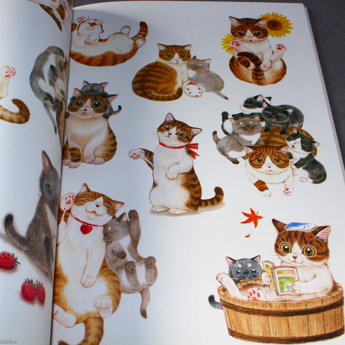 Natsumi Hoshino Artworks: Kijitora Neko no Koume-san