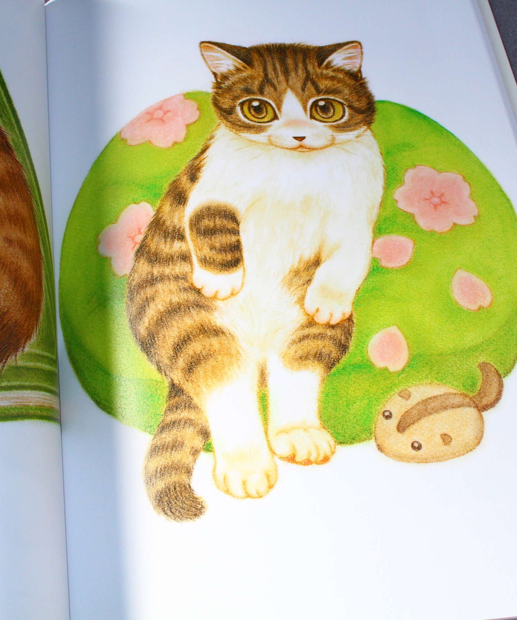 Natsumi Hoshino Artworks: Kijitora Neko no Koume-san