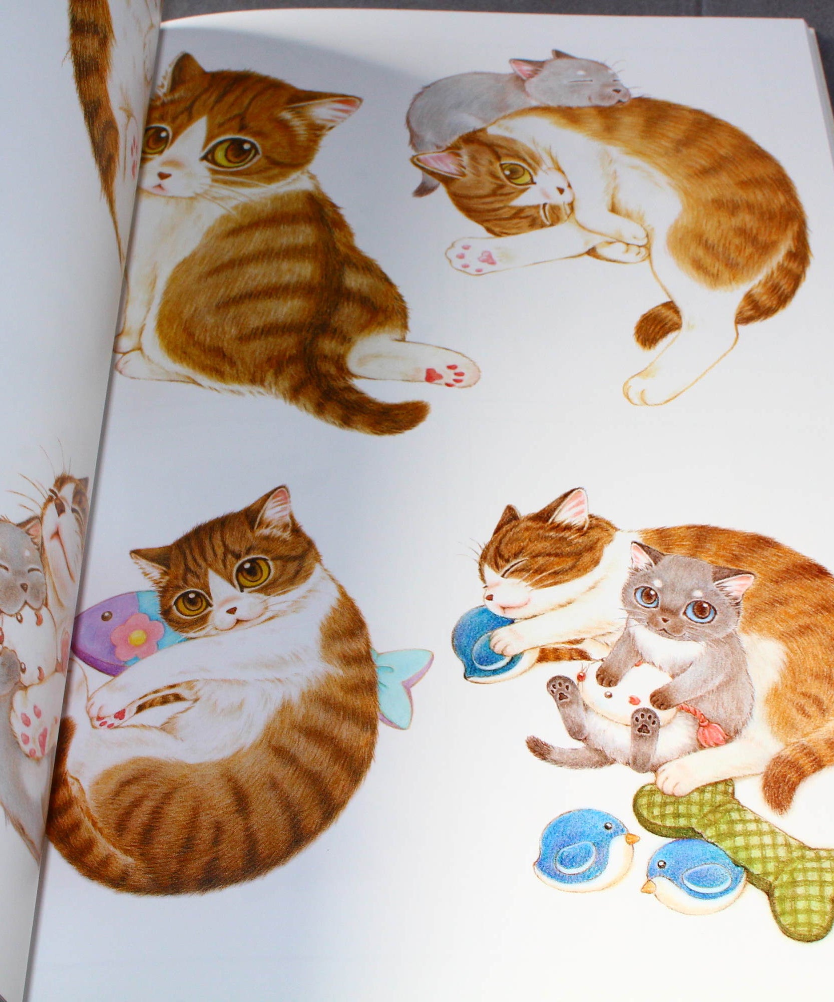 Natsumi Hoshino Artworks: Kijitora Neko no Koume-san
