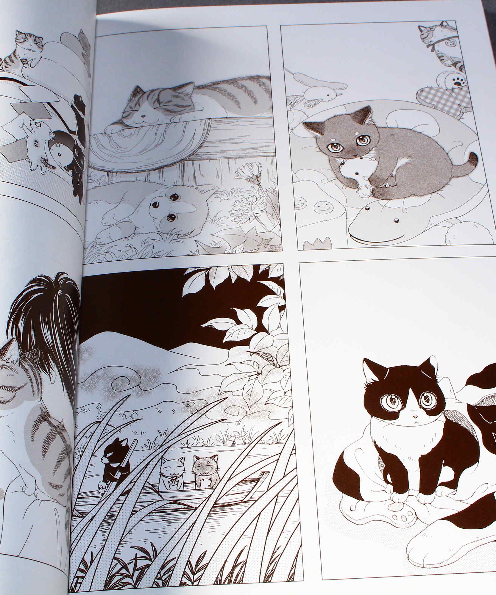 Natsumi Hoshino Artworks: Kijitora Neko no Koume-san