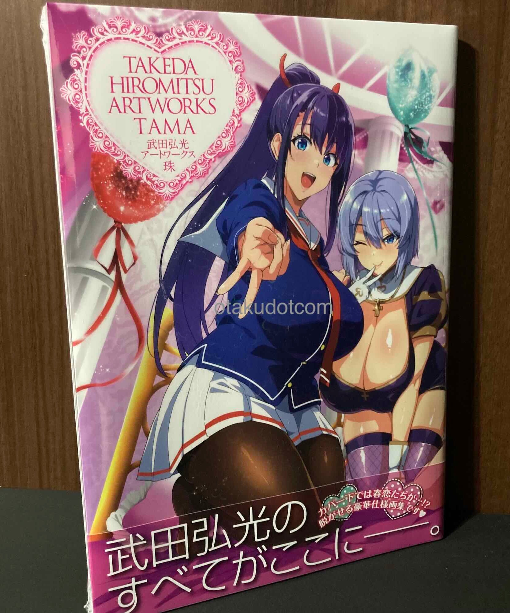 Hiromitsu Takeda Art Works Tama