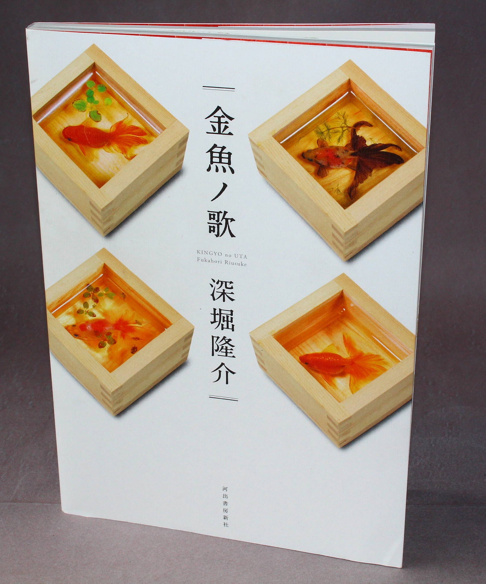 Riusuke Fukahori - Kingyo no Uta - Goldfish Art Book