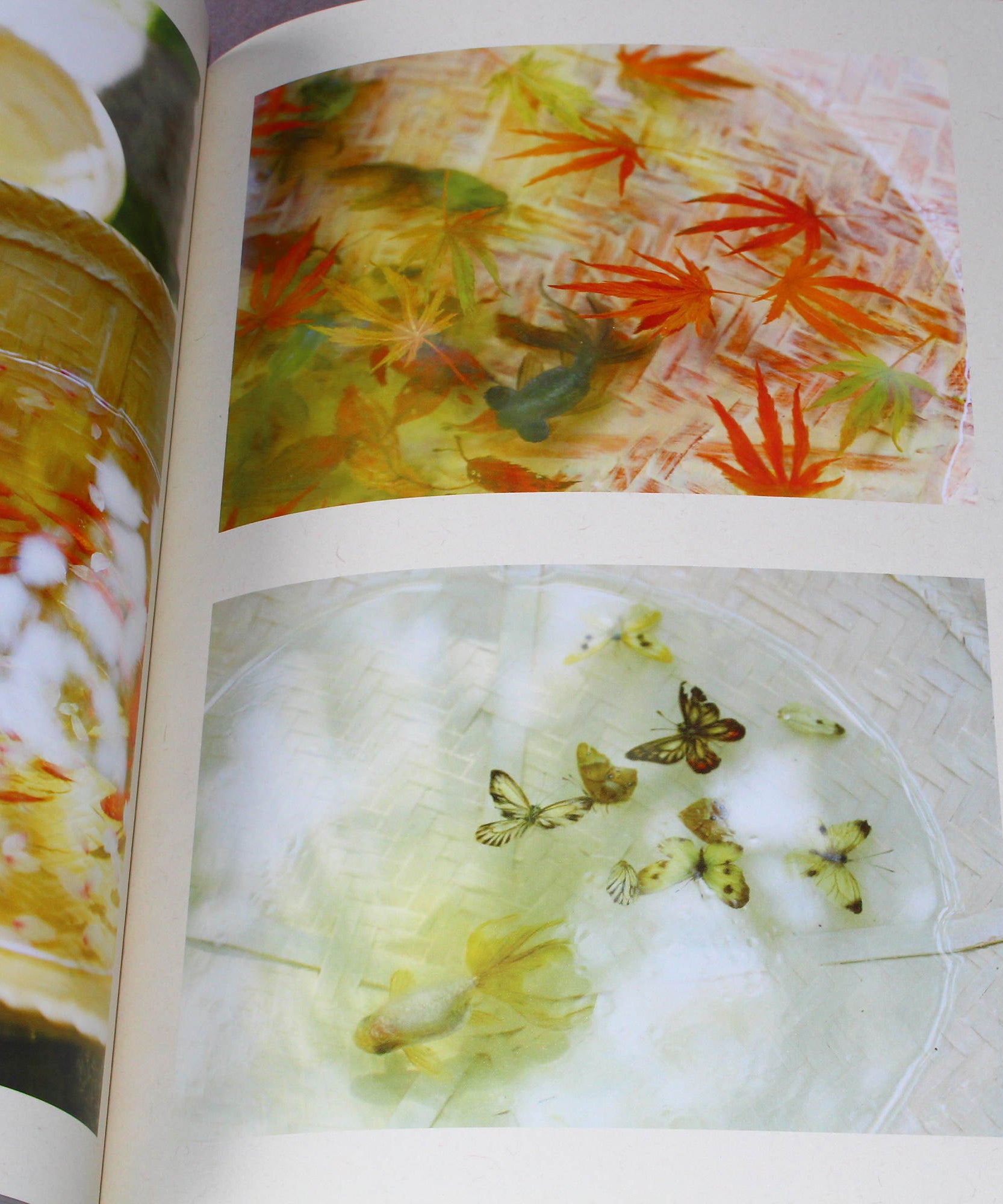 Riusuke Fukahori - Kingyo no Uta - Goldfish Art Book