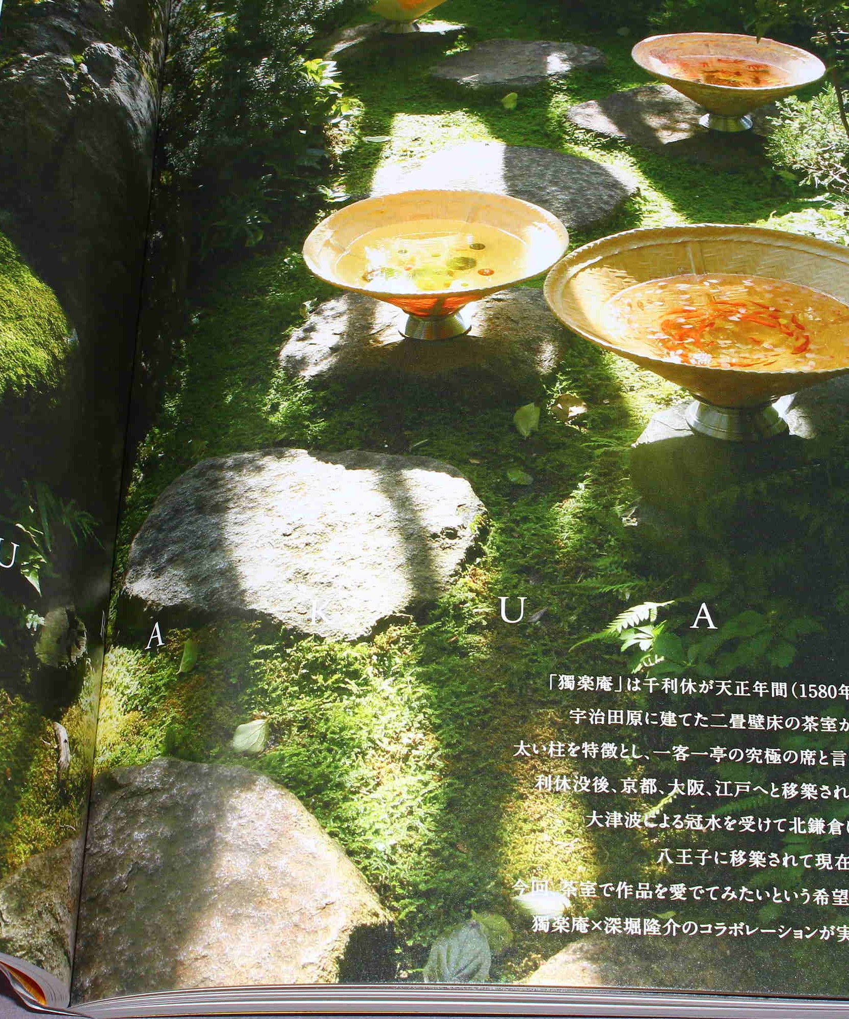 Riusuke Fukahori - Kingyo no Uta - Goldfish Art Book