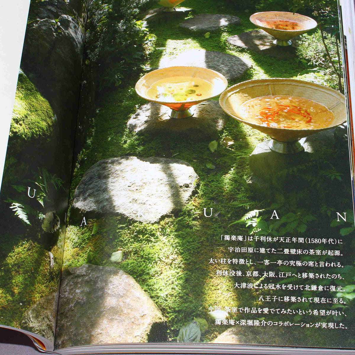 Riusuke Fukahori - Kingyo no Uta - Goldfish Art Book