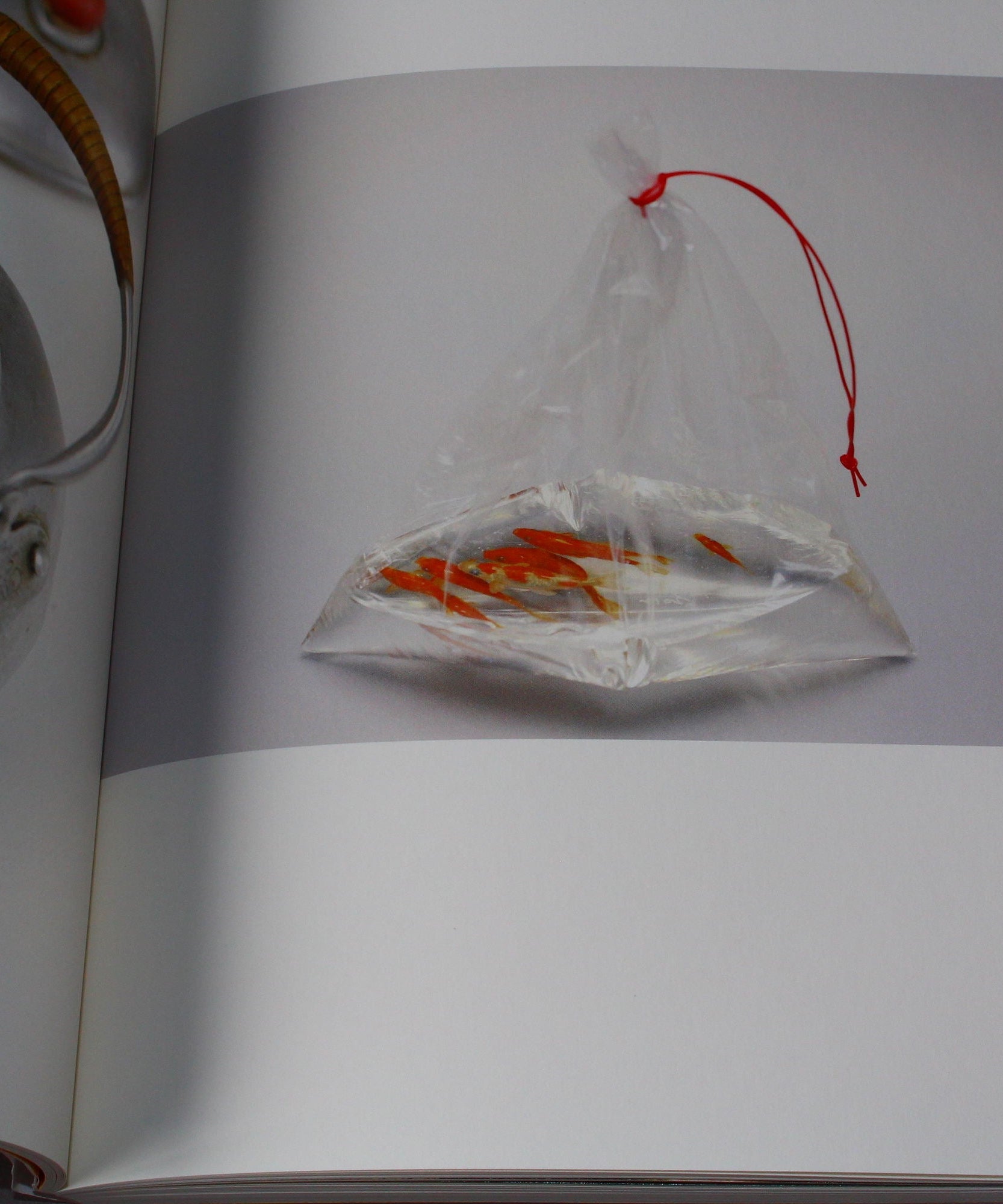Riusuke Fukahori - Kingyo no Uta - Goldfish Art Book