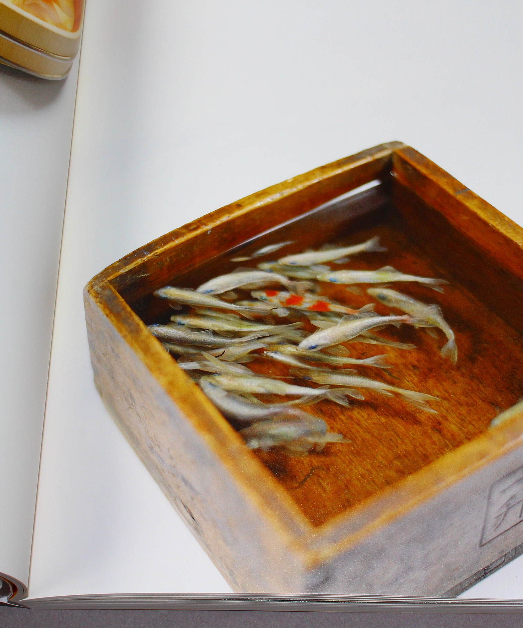 Riusuke Fukahori - Kingyo no Uta - Goldfish Art Book