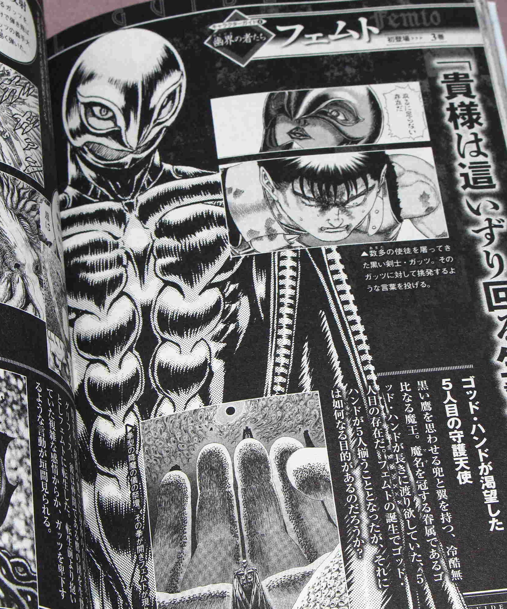 Berserk Official Guide Book