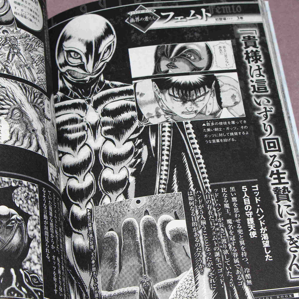 Berserk Official Guide Book
