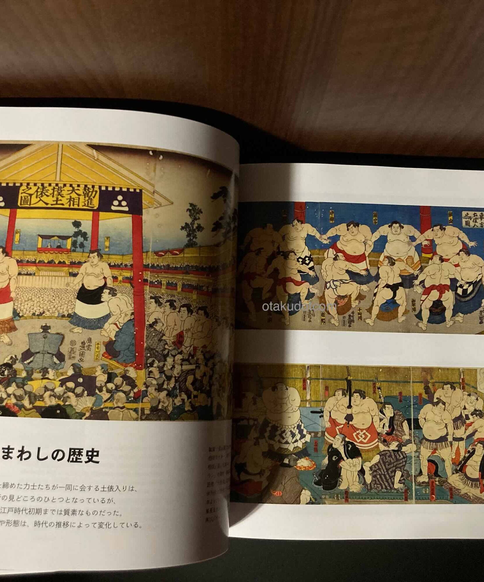 SUMO and DESIGN