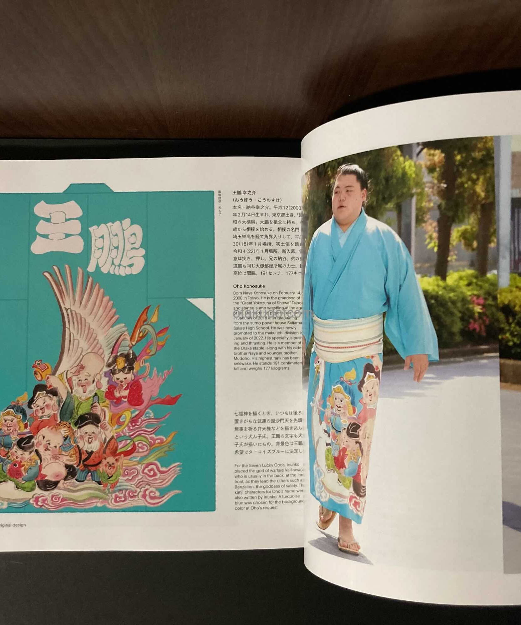 SUMO and DESIGN