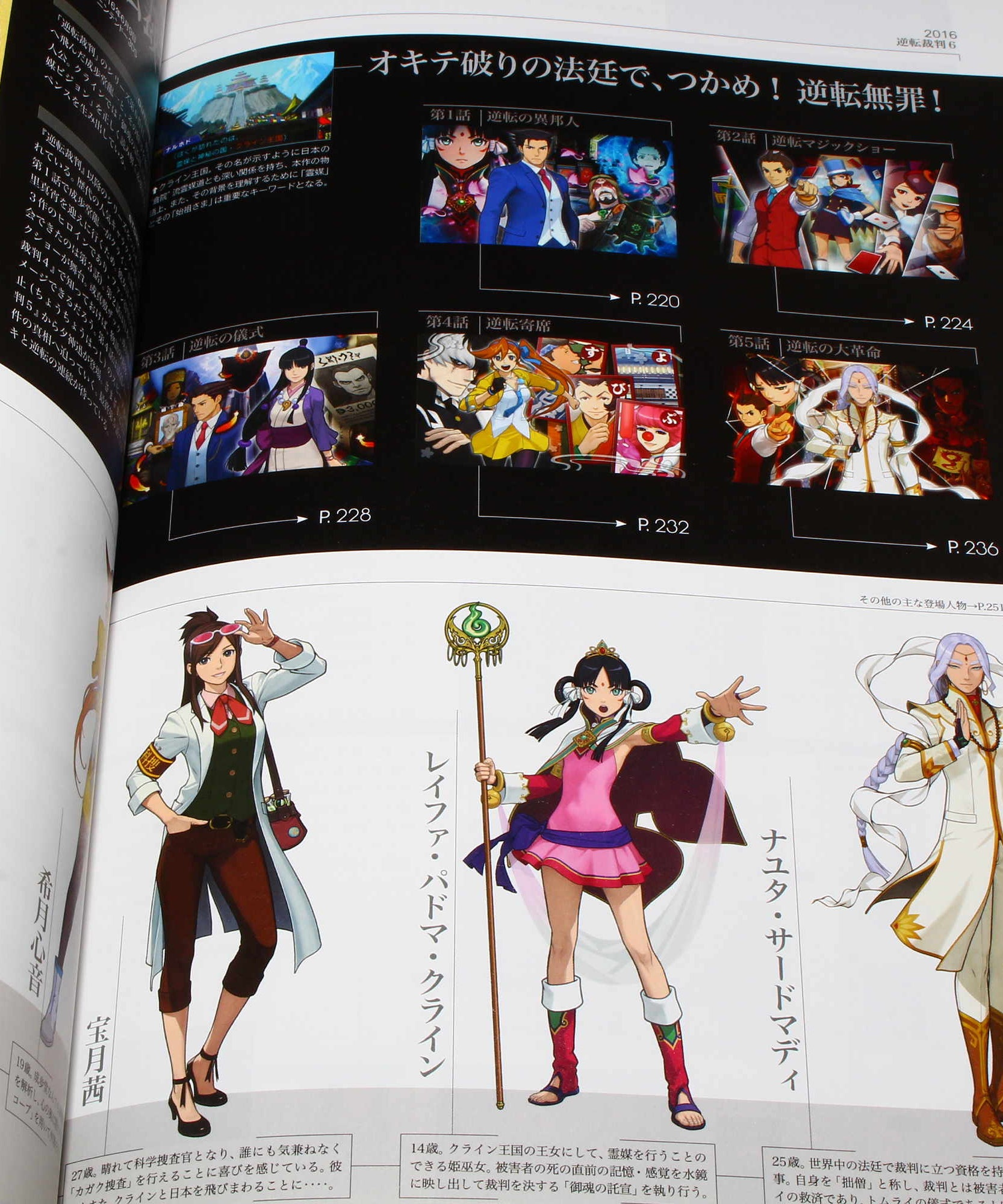 Gyakuten Saiban / Ace Attorney 2001-2016 Fan Book
