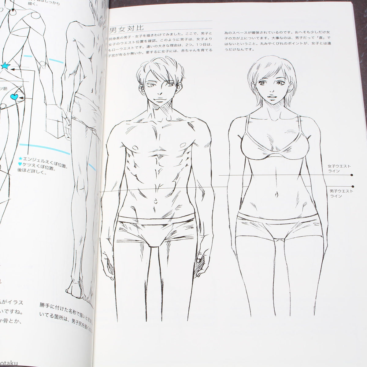 How to Draw - Drawing Men’s Hips