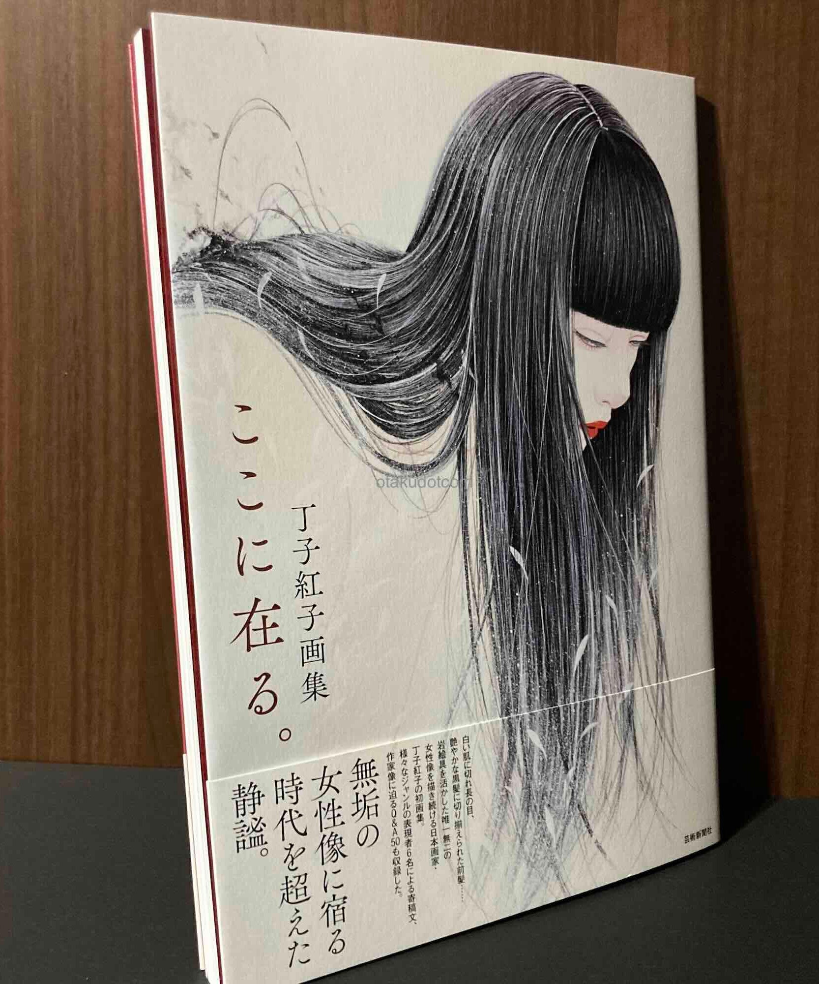 Beniko Choji Artworks Koko ni Aru