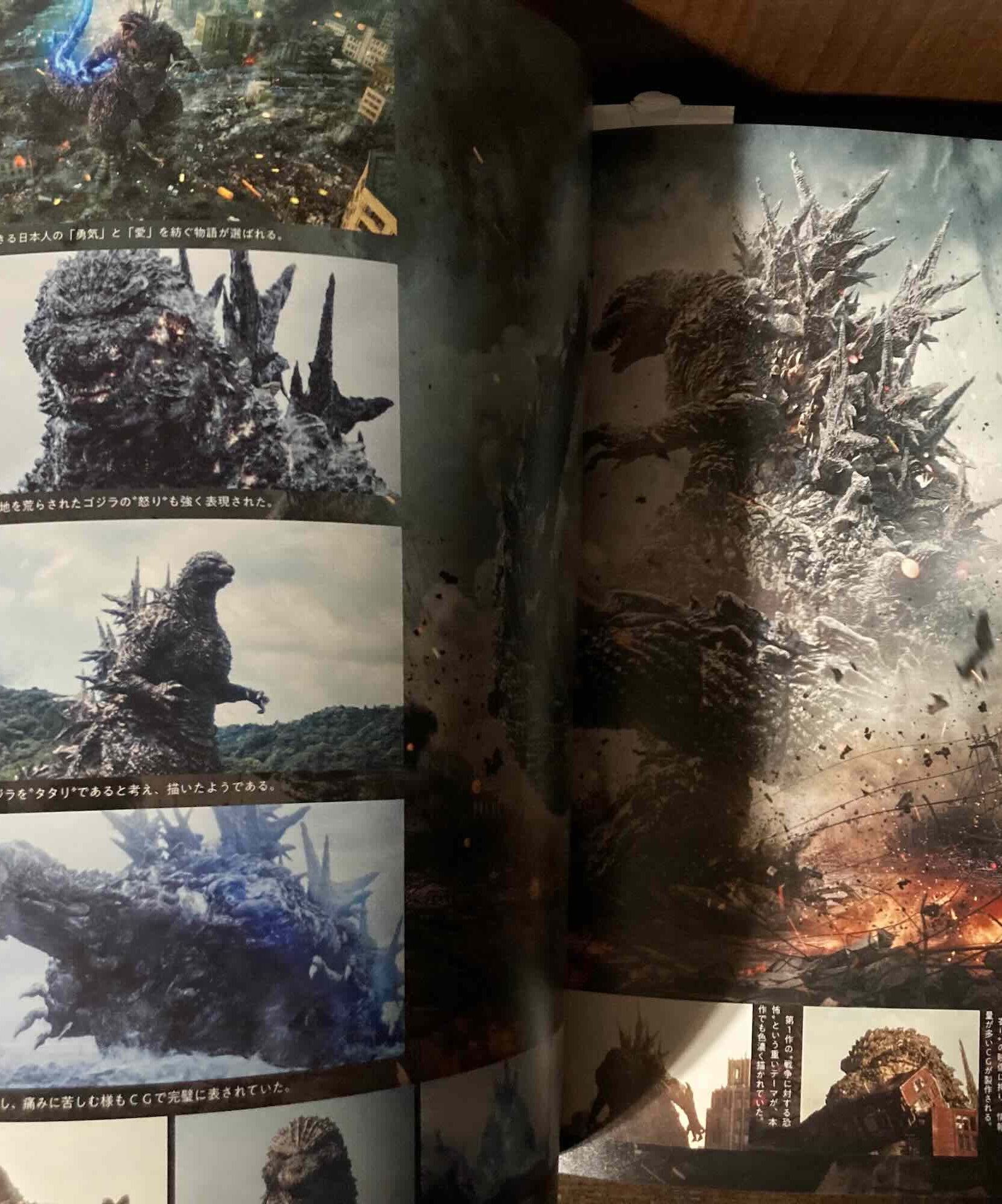 The Sumptuous Collection of Godzilla